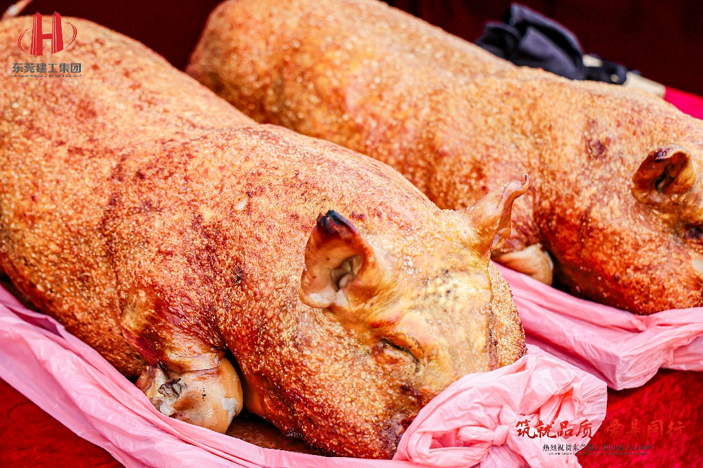 筑就品質·愛是同行 | 熱烈祝賀東莞建工集團成立24周年戶外慶典圓滿舉行(圖19)